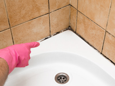 Tips om schimmel in de badkamer te verwijderen